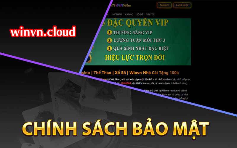 Chính sách bảo mật Winvn